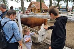 bm_safaripark_2026_02