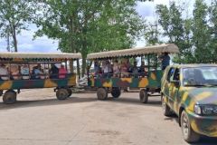 bm_safaripark_2026_03