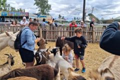 bm_safaripark_2026_06