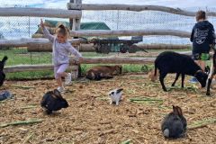 bm_safaripark_2026_08