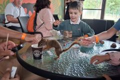 bm_safaripark_2026_12