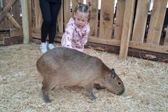 bm_safaripark_2026_13