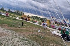 bm_safaripark_2026_17