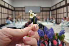 bm_gyu_nonap_2026_10