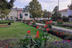 belvarosi_szszb_8
