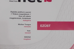 anyanyelv-feat-bestnet-ezust