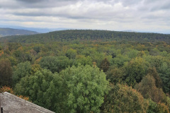 csergezan_pal_kilato_fov_szerv_2025_10_11_15