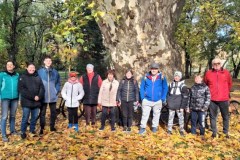 eger_ersekkert_kocsanyos_tolgy