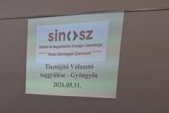 valasztas_gyongyos_nyito