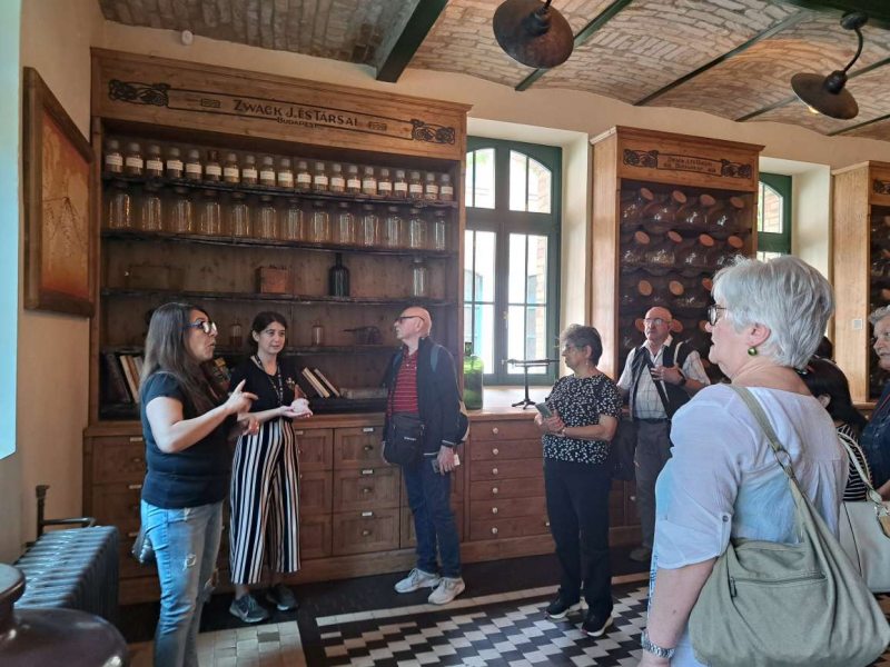 szep_bud_barangolas_akadalymentesitett_tarlatvezetes
