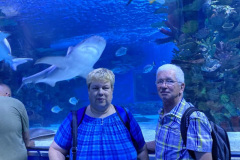 gyula_tropicarium_2024_03