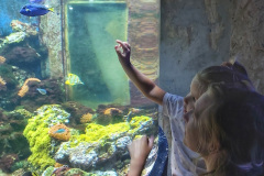 gyula_tropicarium_2024_05