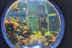 gyula_tropicarium_2024_07