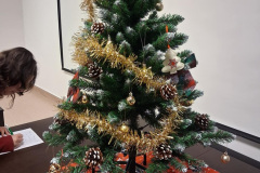 karacsony_Szekesfehervar_2025_3