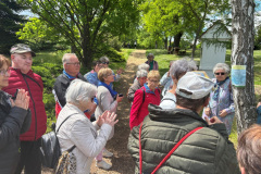 kecskemeti_arboretum_kep2_20250517
