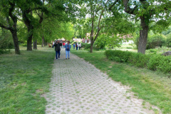 kecskemeti_arboretum_kep4_20250517
