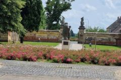 szep_foto_kormend_37_2024