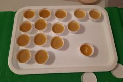 nonap_tolna10