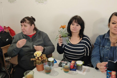 nonap_tolna_0313-15