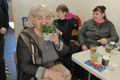 nonap_tolna_0313-3