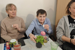 nonap_tolna_0313-5