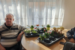 nonap_tolna_0313-6