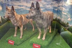 bm_gymsm_kem_rendormuzeum_2026_12