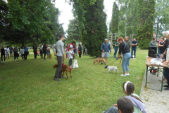 somogy-csusza-20230603.6