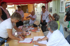 somogy-ripp-ronai-feszt-20230609.2