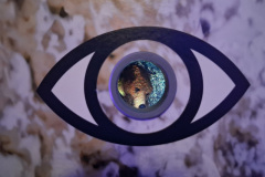 20251111_142130