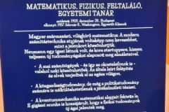 szep_dunantul_hn_madame_tussauds_56