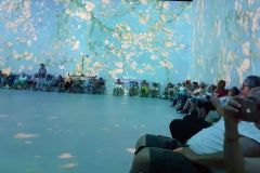 van_gogh_13
