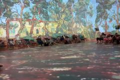 van_gogh_17