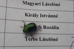 vasuttorteneti_jelenlet_reszvetel