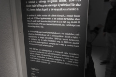 veszprem_varborton_04_25_vas_tolna-15