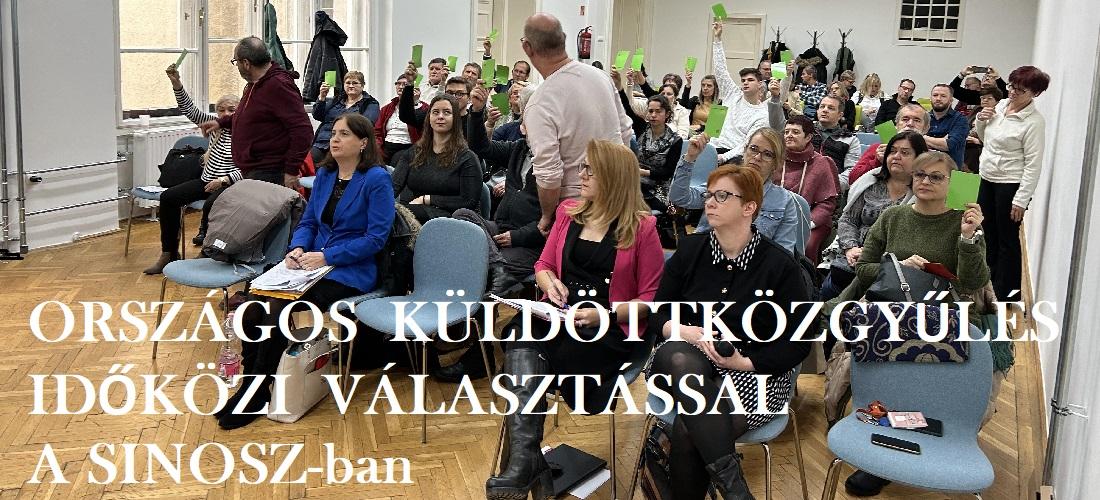 Országos időközi választás zajlott a SINOSZ-ban