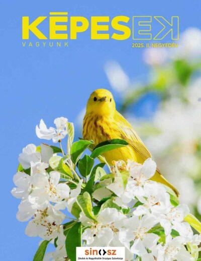 Képesek vagyunk magazin