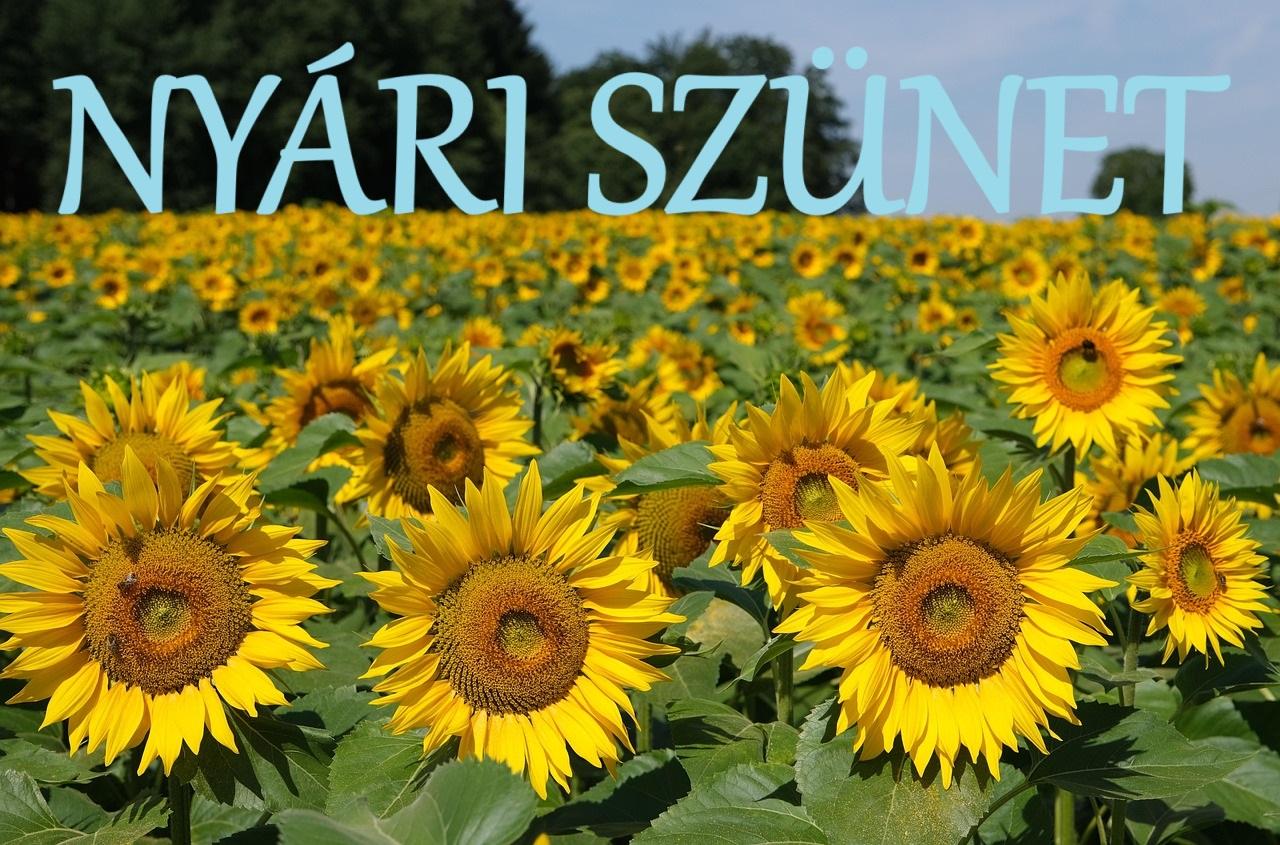 Nyári szünet és nyári nyitvatartás a SINA-HBVME-nél