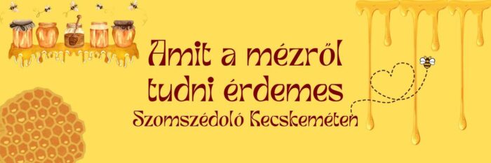 Amit a mézről tudni érdemes – Szomszédoló előadás Kecskeméten