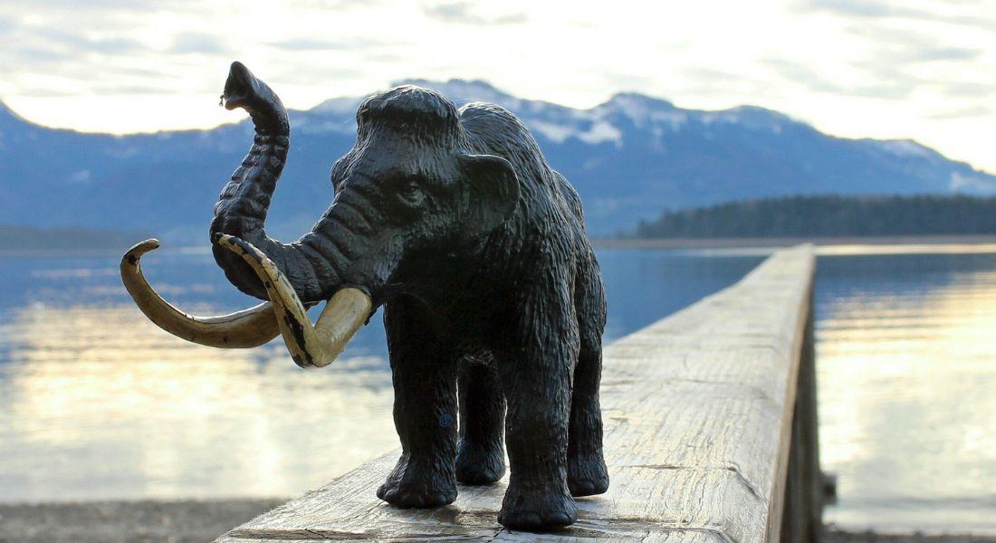 Szomszédoló: A titokzatos jégkorszak – kiállítás a Móra Ferenc Múzeumban Szegeden