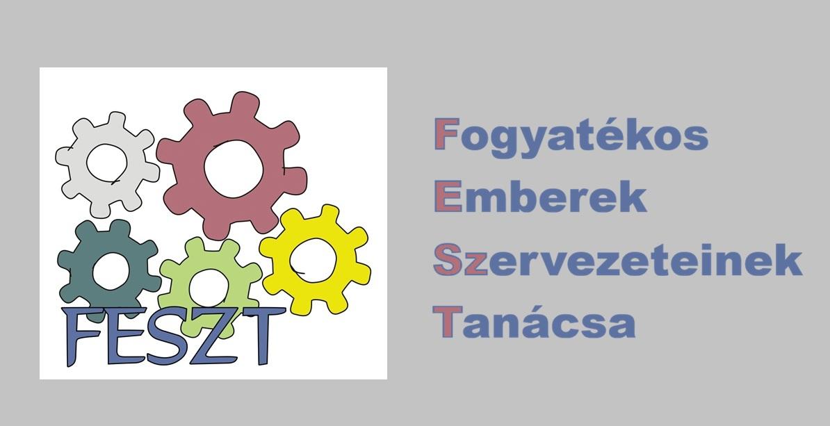 Közös fellépés a fogyatékosságügy megfelelő kormányzati kezeléséért