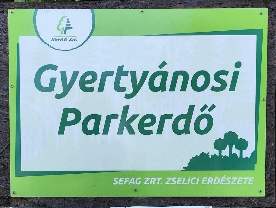 Családi sportnap a Gyertyánosi Parkerdőben