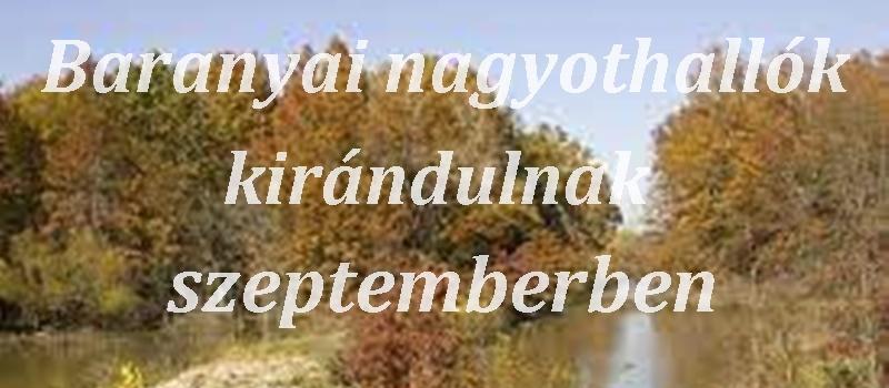 Baranyai nagyothallók háromnapos programja